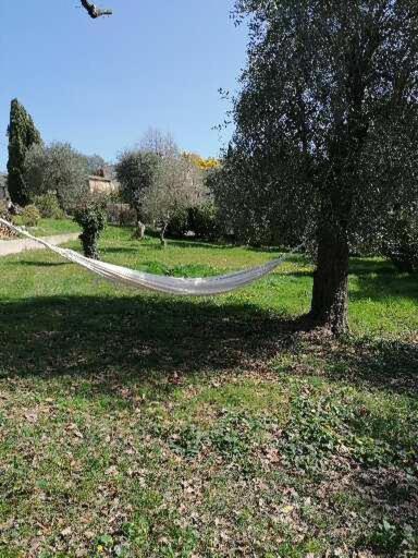 Studio Au Milieu D Une Oliveraie Le Mas De La Huppe Tourrettes-sur-Loup Zewnętrze zdjęcie