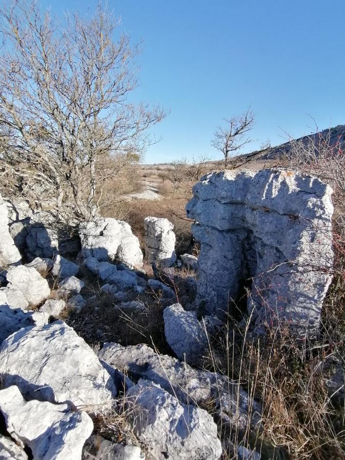 Studio Au Milieu D Une Oliveraie Le Mas De La Huppe Tourrettes-sur-Loup Zewnętrze zdjęcie